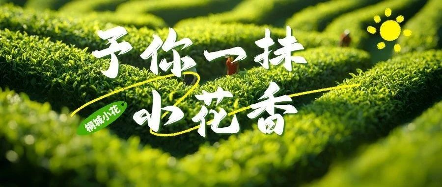 ձح˻ǻȴһ